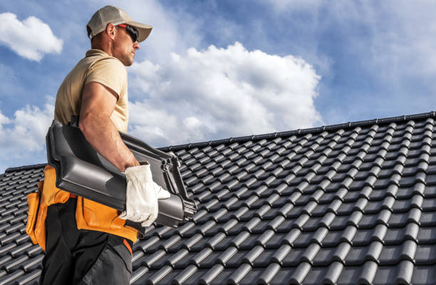 Best Roof Ventilation Installation  in Hainesvle, IL